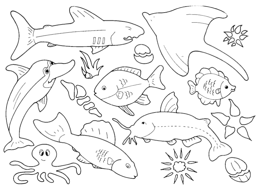 Dibujo gratuito Pez #17203 de la coleccion Animales para imprimir