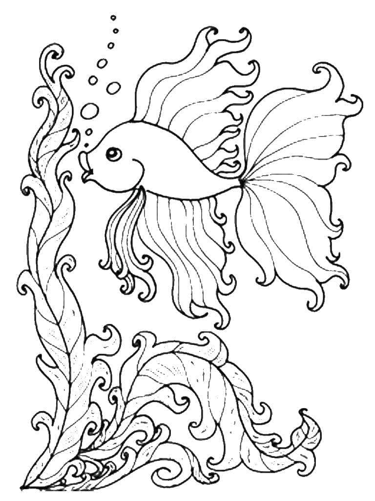 Dibujo gratuito Pez Dorado #208312 de la coleccion Animales para imprimir