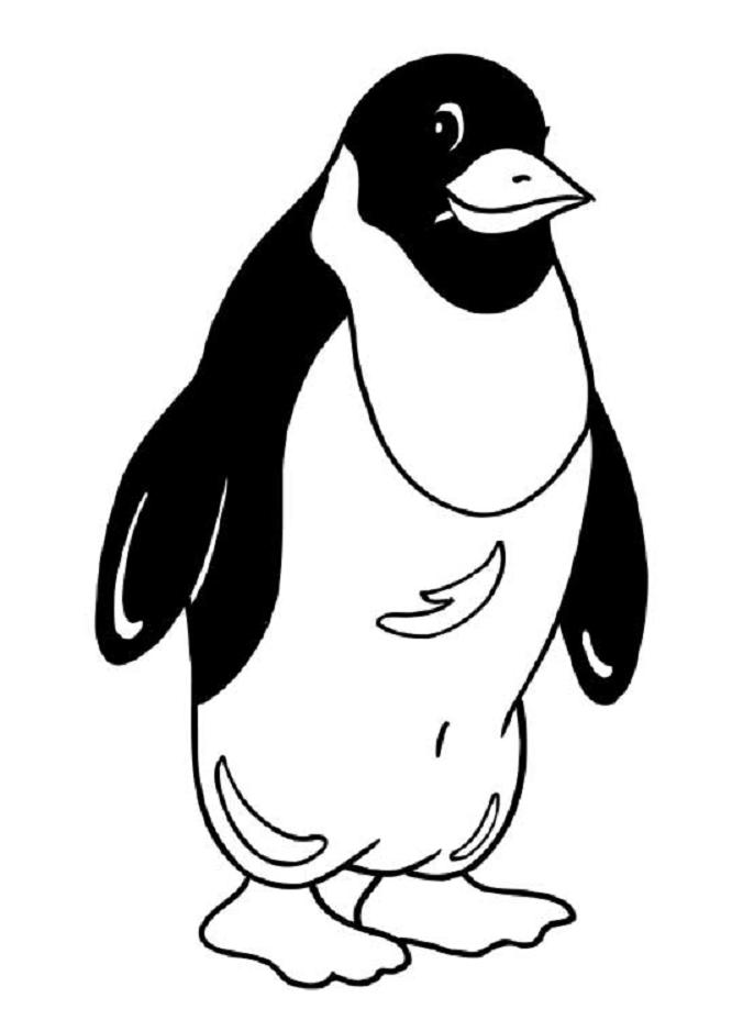 Dibujo para colorear: Pingüino (Animales) #16882 - Dibujos para Colorear e Imprimir Gratis