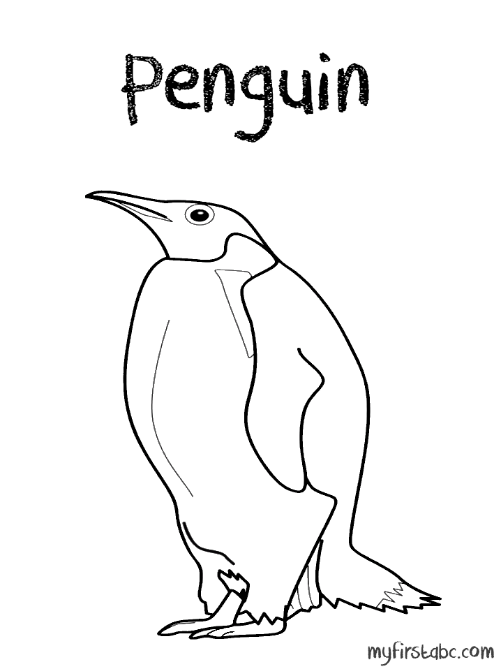 Dibujo para colorear: Pingüino (Animales) #16969 - Dibujos para Colorear e Imprimir Gratis
