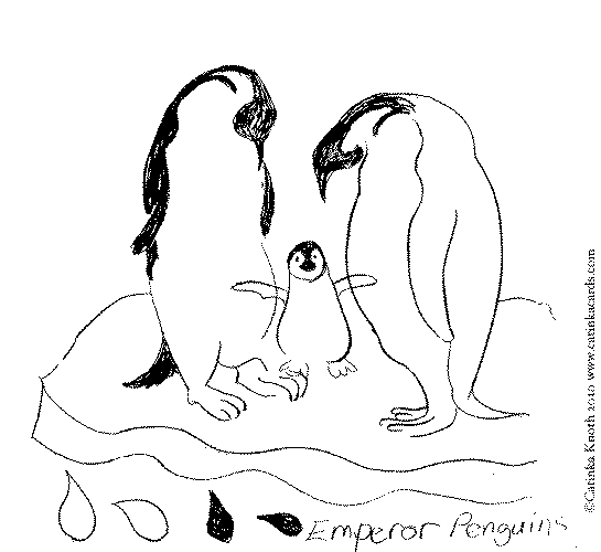 Dibujo para colorear: Pingüino (Animales) #17005 - Dibujos para Colorear e Imprimir Gratis