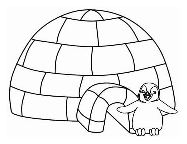 Dibujo gratuito Pingüino #186536 de la coleccion Animales para imprimir