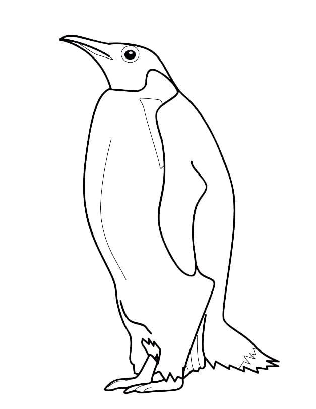 Dibujo gratuito Pingüino #186568 de la coleccion Animales para imprimir