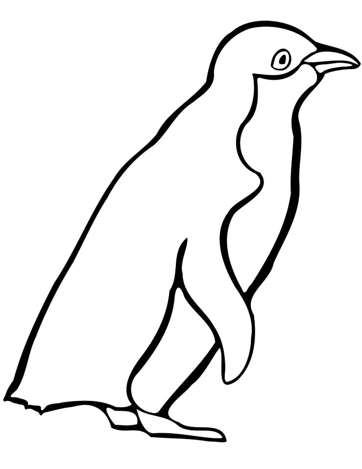 Dibujo gratuito Pingüino #186571 de la coleccion Animales para imprimir