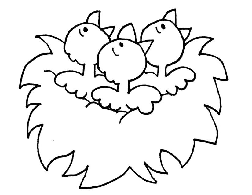 Dibujo gratuito Pollito #15335 de la coleccion Animales para imprimir