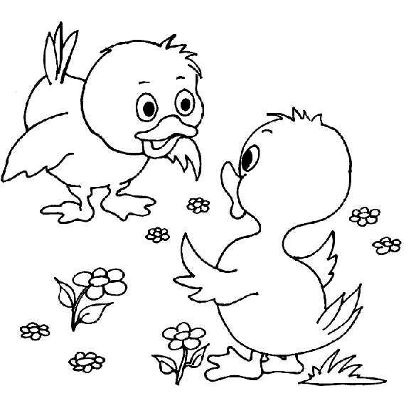 Dibujo gratuito Pollito #15384 de la coleccion Animales para imprimir