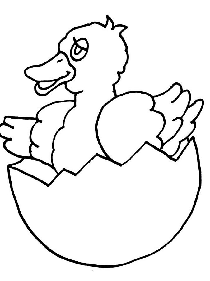 Dibujo gratuito Pollito #15478 de la coleccion Animales para imprimir
