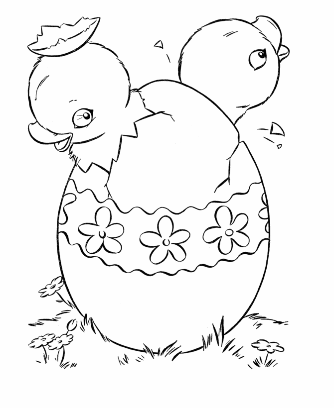 Dibujo gratuito Pollito #15483 de la coleccion Animales para imprimir