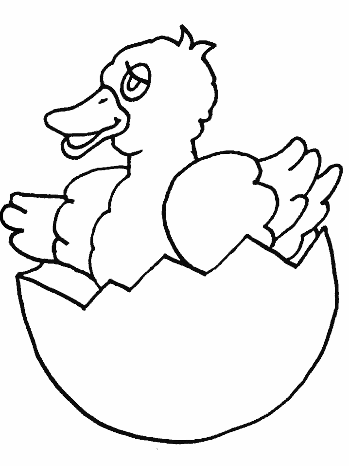 Dibujo gratuito Pollito #20138 de la coleccion Animales para imprimir