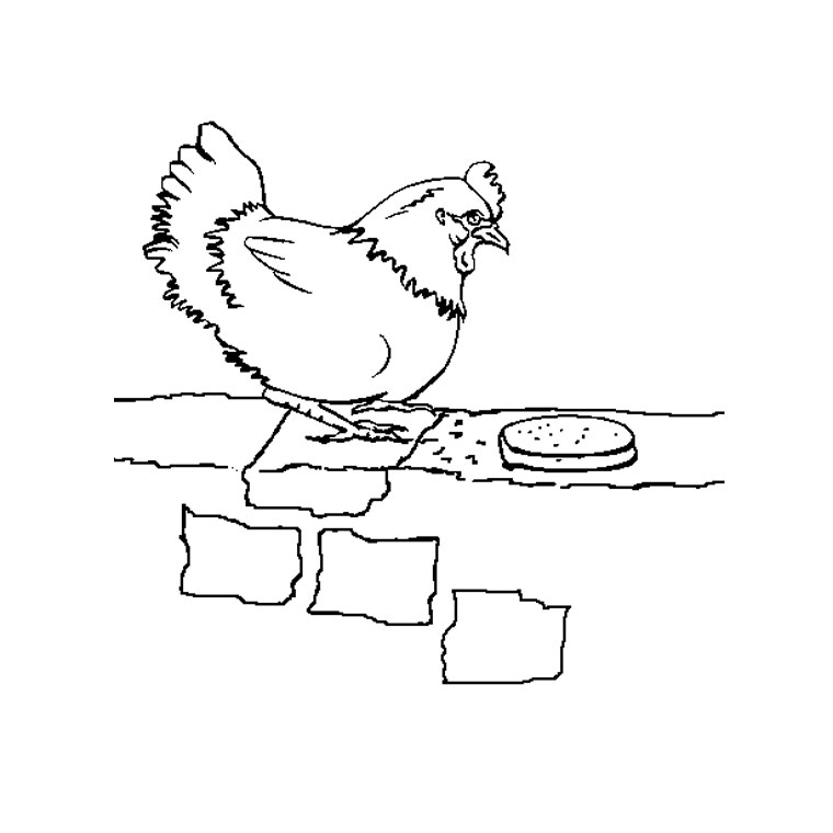 Dibujo para colorear: Pollo (Animales) #17230 - Dibujos para Colorear e Imprimir Gratis