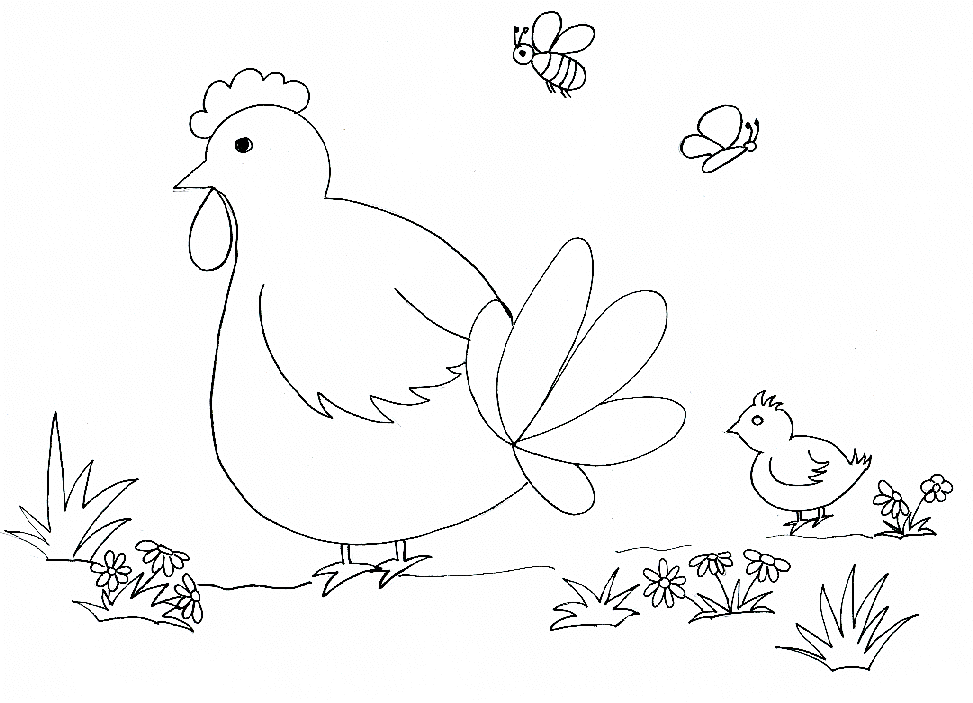 Dibujo para colorear: Pollo (Animales) #17232 - Dibujos para Colorear e Imprimir Gratis