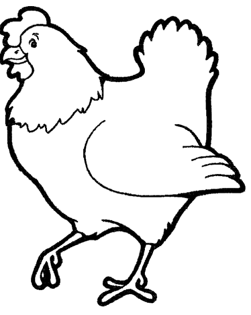Dibujos de Pollo (Animales) para colorear y pintar – Páginas para imprimir