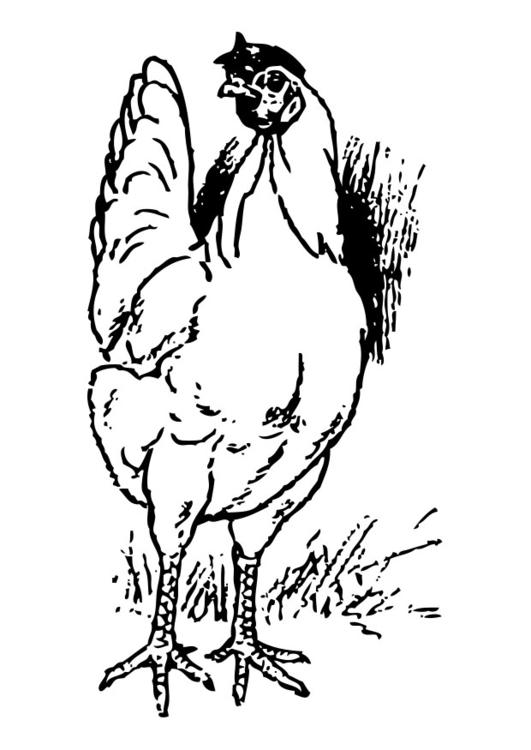 Dibujo para colorear: Pollo (Animales) #17271 - Dibujos para Colorear e Imprimir Gratis