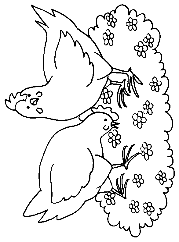 Dibujo para colorear: Pollo (Animales) #17272 - Dibujos para Colorear e Imprimir Gratis
