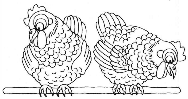 Dibujo para colorear: Pollo (Animales) #17278 - Dibujos para Colorear e Imprimir Gratis