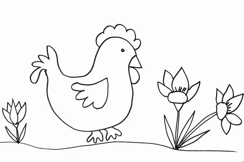 Dibujo para colorear: Pollo (Animales) #17306 - Dibujos para Colorear e Imprimir Gratis