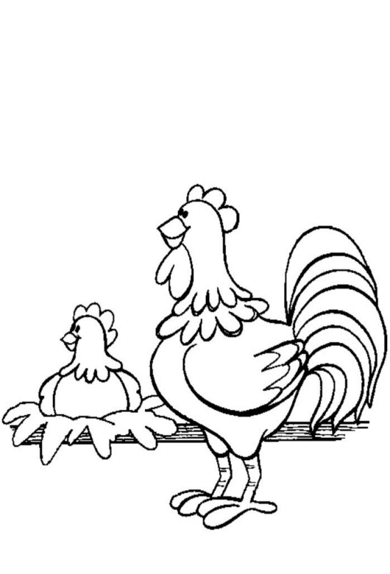 Dibujo para colorear: Pollo (Animales) #17309 - Dibujos para Colorear e Imprimir Gratis