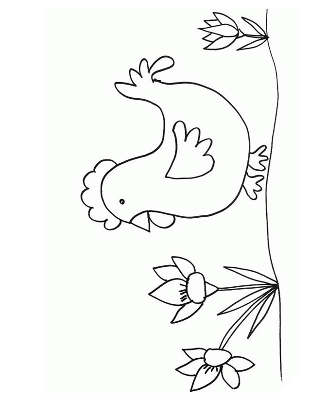 Dibujo para colorear: Pollo (Animales) #17316 - Dibujos para Colorear e Imprimir Gratis