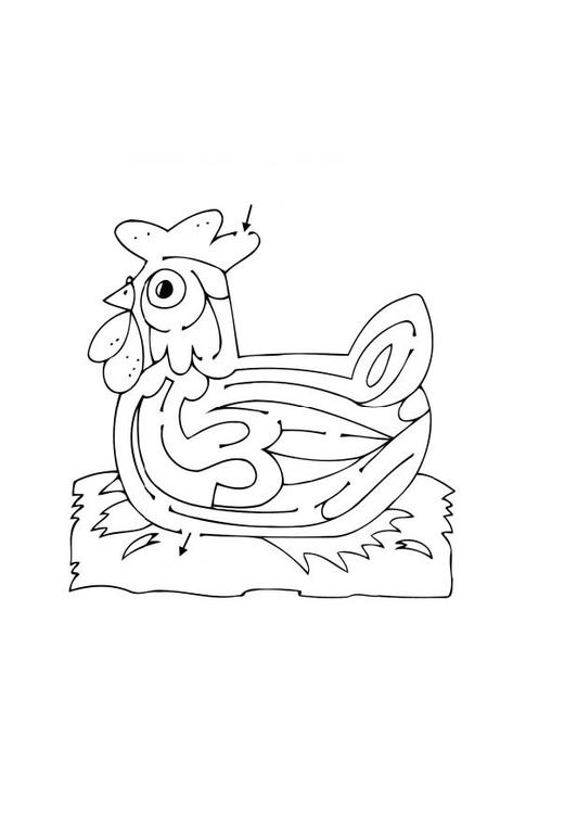 Dibujo para colorear: Pollo (Animales) #17327 - Dibujos para Colorear e Imprimir Gratis