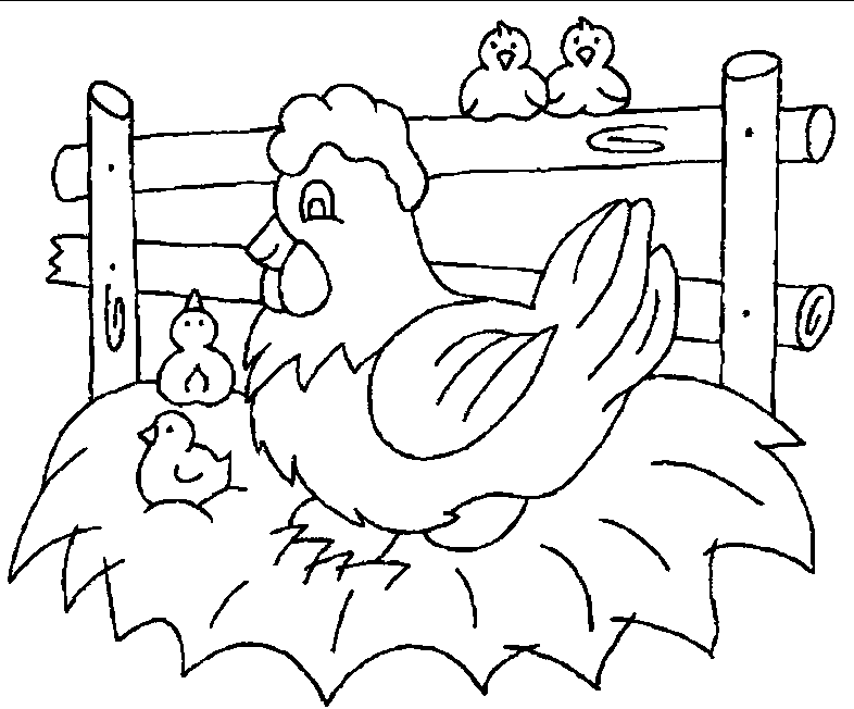Dibujo para colorear: Pollo (Animales) #17384 - Dibujos para Colorear e Imprimir Gratis
