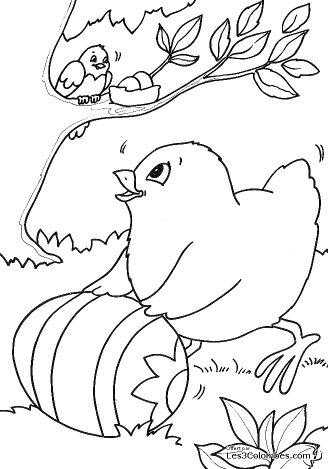 Dibujo para colorear: Pollo (Animales) #17385 - Dibujos para Colorear e Imprimir Gratis