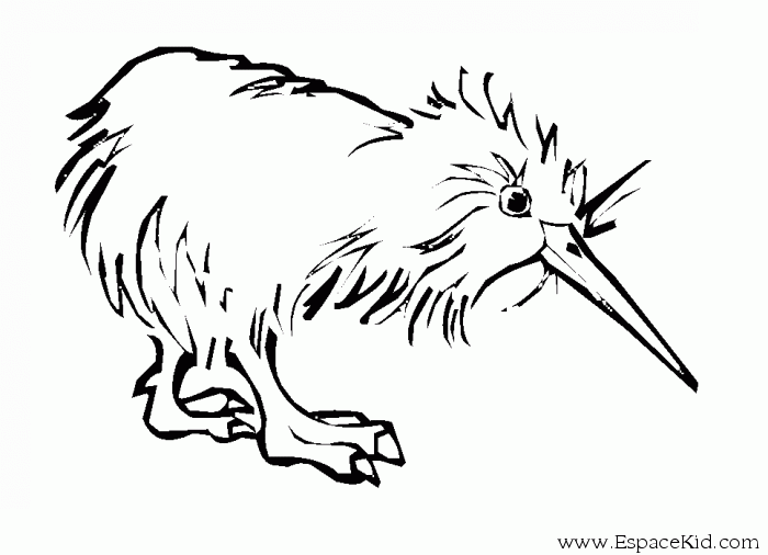 Dibujo para colorear: Polluelo (Animales) #15406 - Dibujos para Colorear e Imprimir Gratis