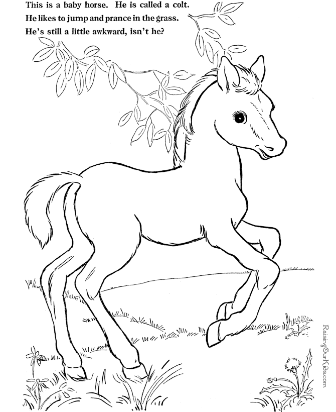 Dibujo para colorear: Poni (Animales) #17997 - Dibujos para Colorear e Imprimir Gratis