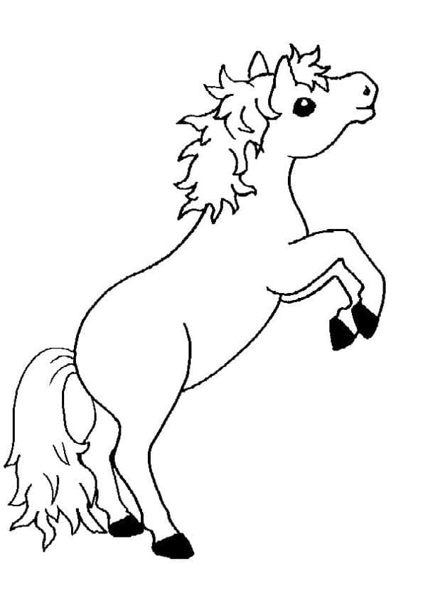 Dibujo gratuito Poni #210332 de la coleccion Animales para imprimir