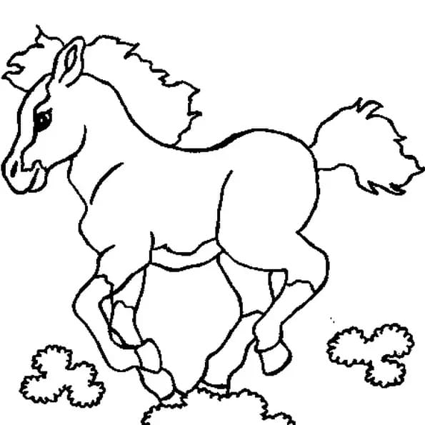 Dibujo gratuito Poni #214241 de la coleccion Animales para imprimir