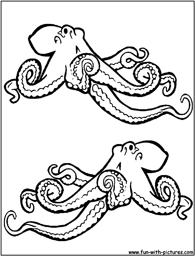 Dibujo para colorear: Pulpo (Animales) #19041 - Dibujos para Colorear e Imprimir Gratis