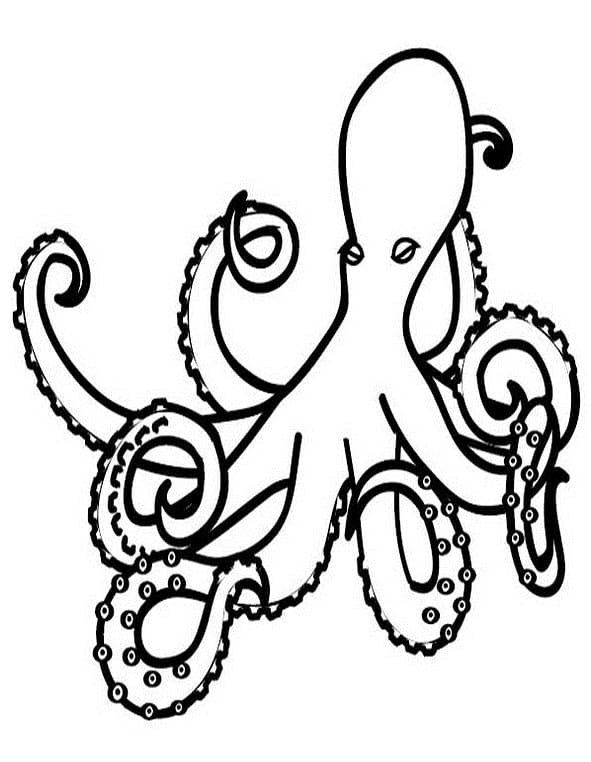 Dibujo gratuito Pulpo #194433 de la coleccion Animales para imprimir