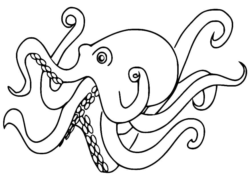 Dibujo gratuito Pulpo #194457 de la coleccion Animales para imprimir