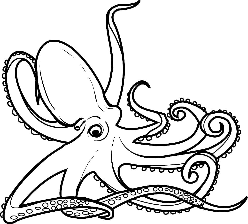 Dibujo gratuito Pulpo #194460 de la coleccion Animales para imprimir