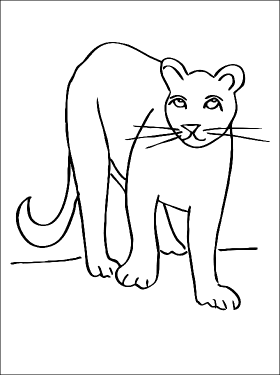 Visión general Hamburguesa barato Dibujos de Puma (Animales) para colorear – Páginas imprimibles gratis