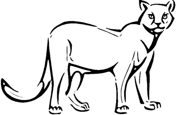 Dibujos Puma (Animales) para – imprimibles gratis