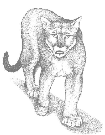 Dibujo para colorear: Puma (Animales) #4444 - Dibujos para Colorear e Imprimir Gratis