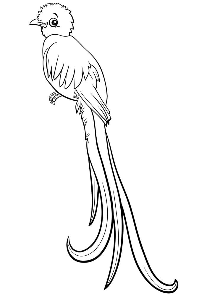 Dibujo gratuito Quetzal #180742 de la coleccion Animales para imprimir