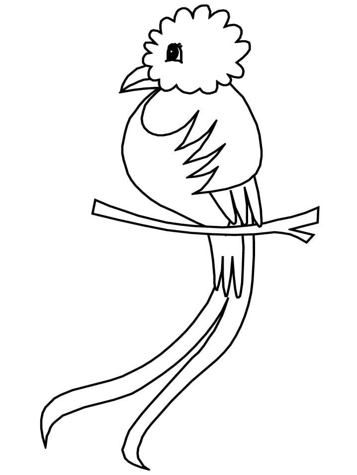 Dibujo gratuito Quetzal #180746 de la coleccion Animales para imprimir Dibujo gratuito Quetzal #180746 de la coleccion Animales para imprimir
