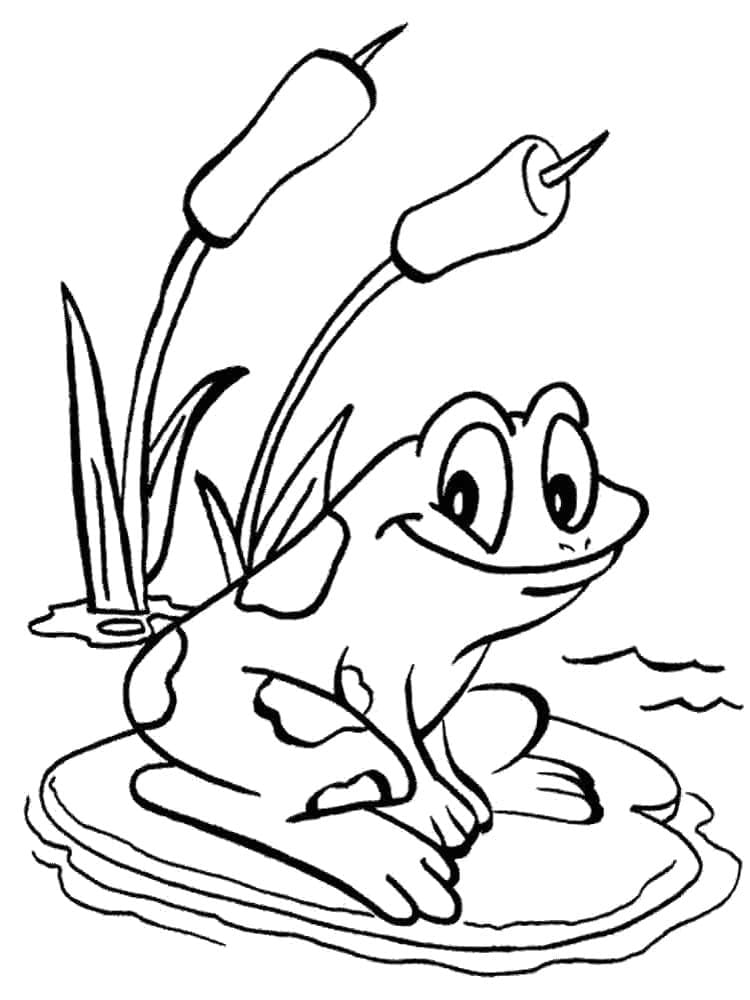 Dibujo gratuito Rana #187287 de la coleccion Animales para imprimir