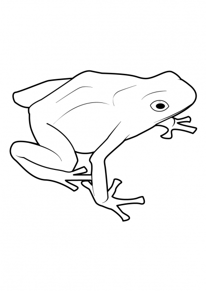 Dibujo para colorear: Rana (Animales) #7679 - Dibujos para Colorear e Imprimir Gratis