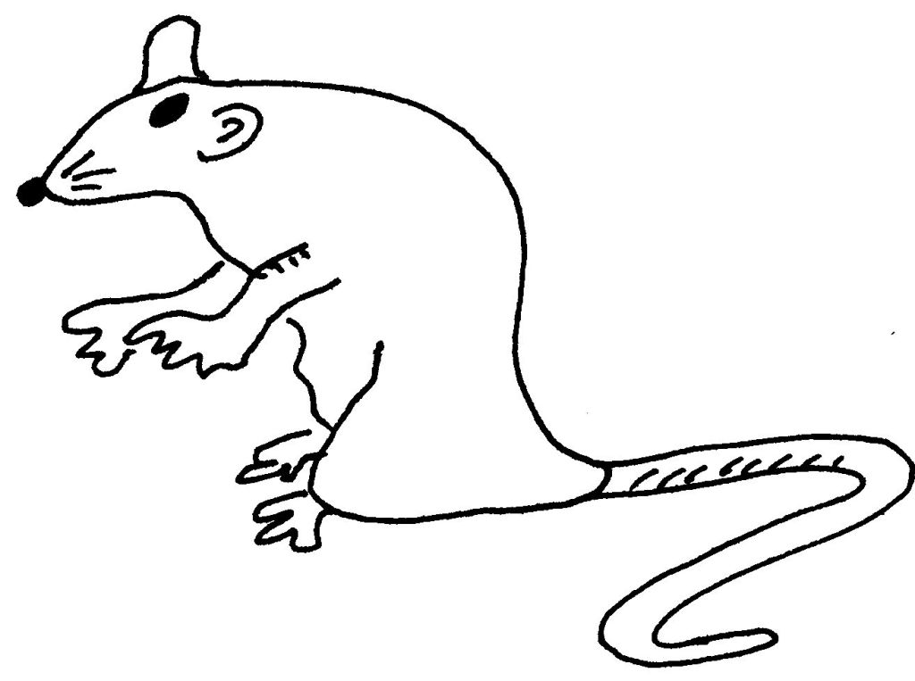 Dibujos de Rata 15242 (Animales) para colorear Páginas imprimibles