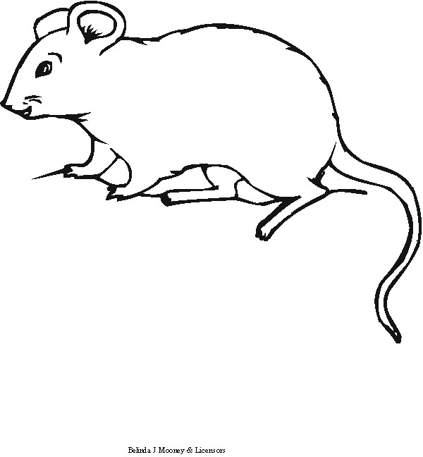 Dibujo para colorear: Ratón (Animales) #14111 - Dibujos para Colorear e Imprimir Gratis