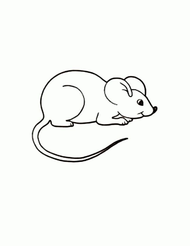 Dibujo gratuito Ratón #189514 de la coleccion Animales para imprimir