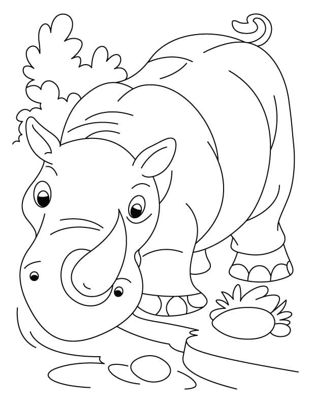 Dibujo gratuito Rinoceronte #206650 de la coleccion Animales para imprimir