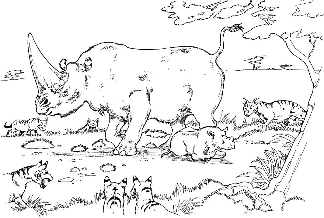 Dibujo gratuito Rinoceronte #206660 de la coleccion Animales para imprimir