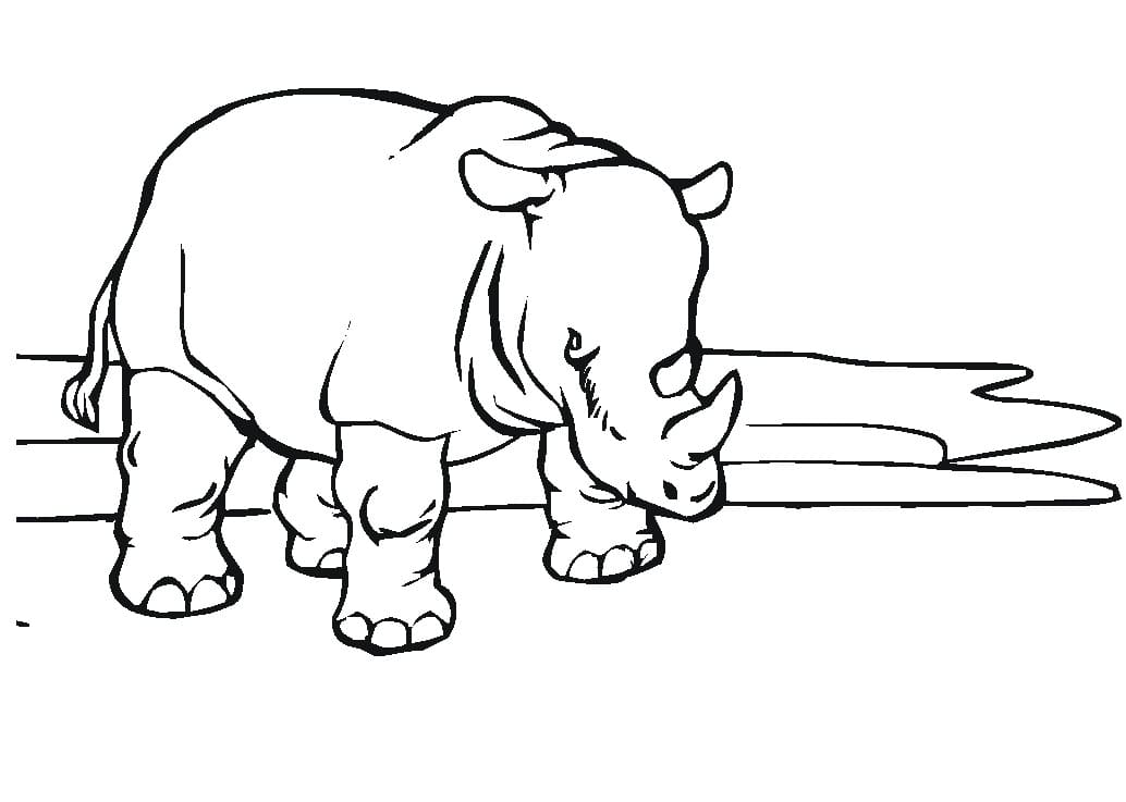 Dibujo gratuito Rinoceronte #206664 de la coleccion Animales para imprimir