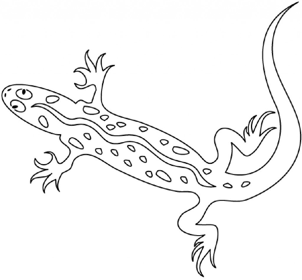 Dibujo para colorear: Salamandra (Animales) #19930 - Dibujos para Colorear e Imprimir Gratis