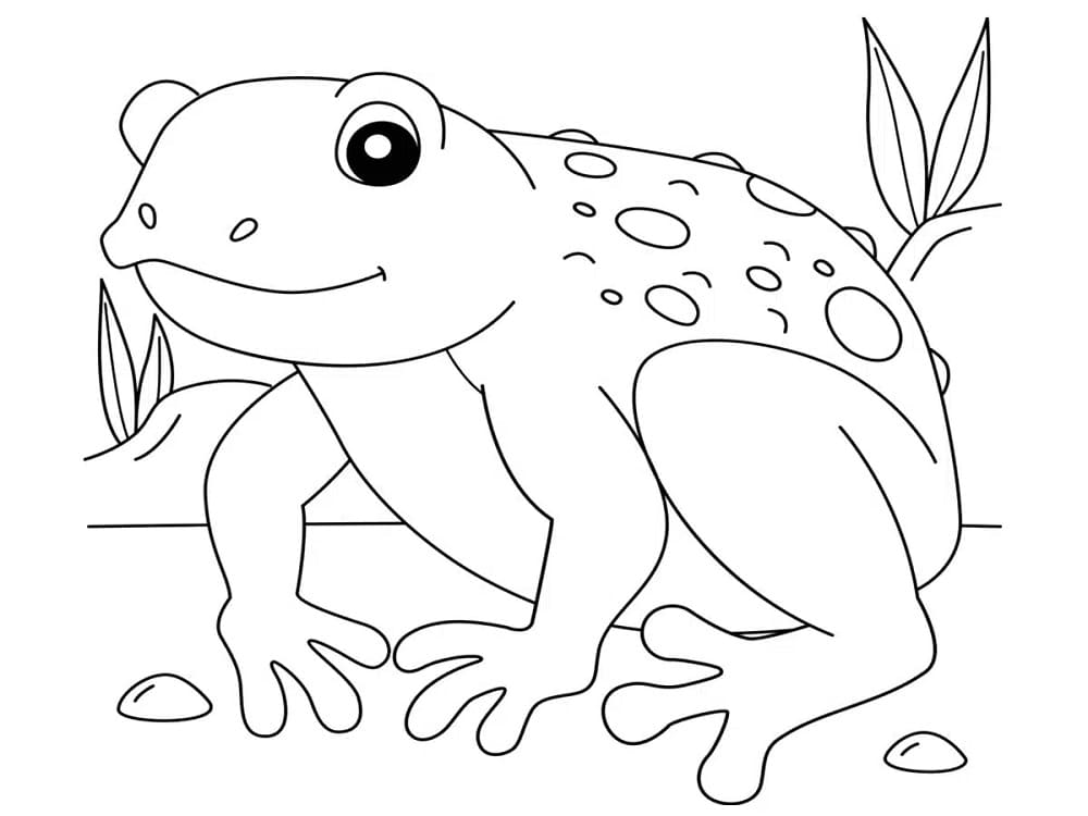 Dibujo gratuito Sapo #218475 de la coleccion Animales para imprimir