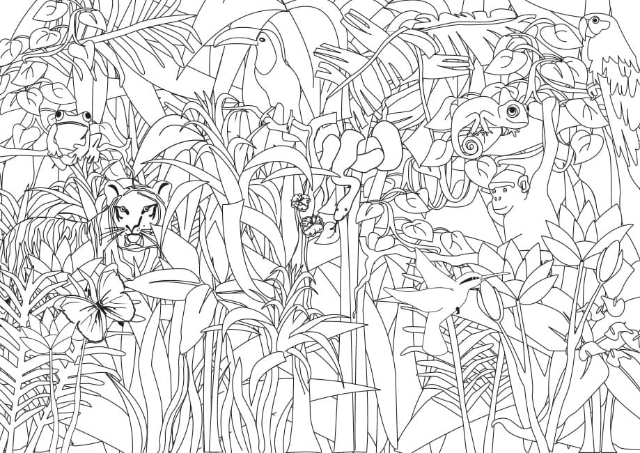 Dibujo gratuito Selva #181010 de la coleccion Animales para imprimir