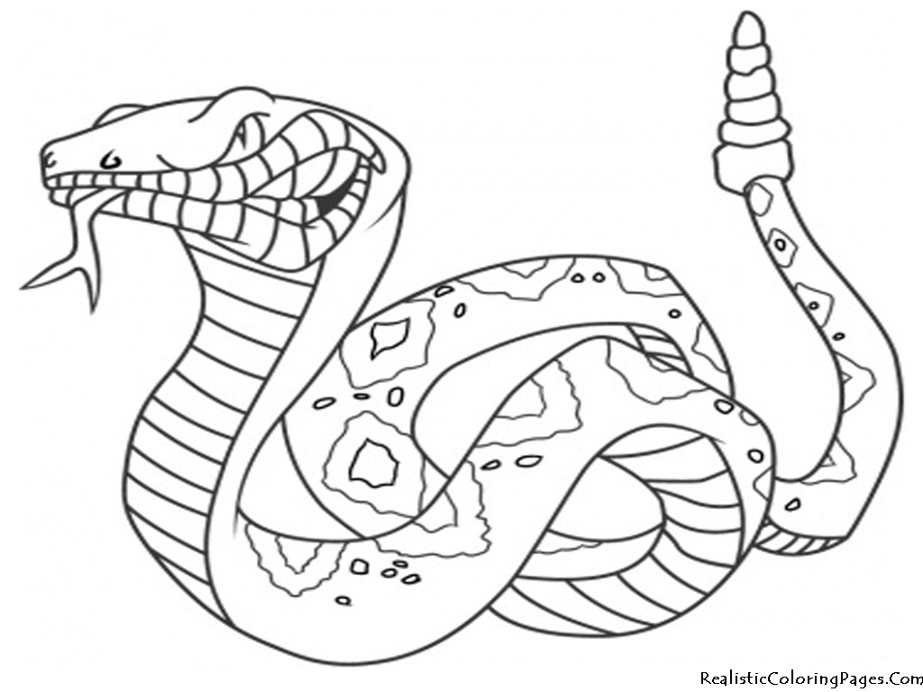 Dibujo para colorear: Serpiente (Animales) #14342 - Dibujos para Colorear e Imprimir Gratis